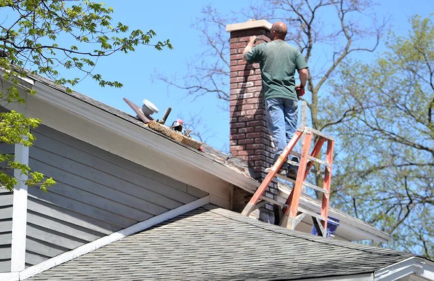 Chimney & Fireplace Inspections Services in Burbank, IL